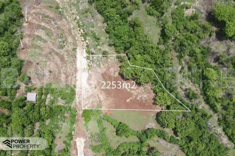 2253m2 Land in South Kuta, Badung, Indonesia No. 8701 3