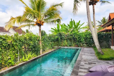 2 bedrooms Villa in Ubud, Gianyar, Indonesia No. 13150 3