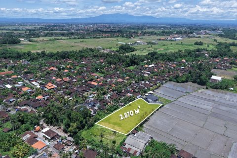 2870m2 Land in Kaba-Kaba, Kediri, Tabanan, Indonesia No. 9666 1