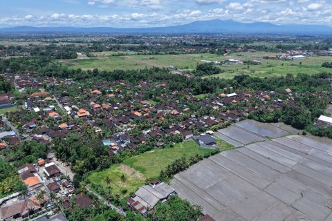 2870m2 Land in Kaba-Kaba, Kediri, Tabanan, Indonesia No. 9666 5
