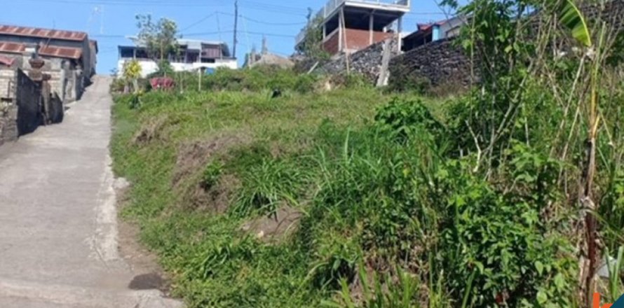 Land in Ubud, Gianyar, Indonesia No. 11648