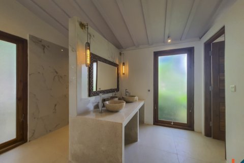 4 bedrooms Villa in Kerobokan, Badung, Indonesia No. 11451 24