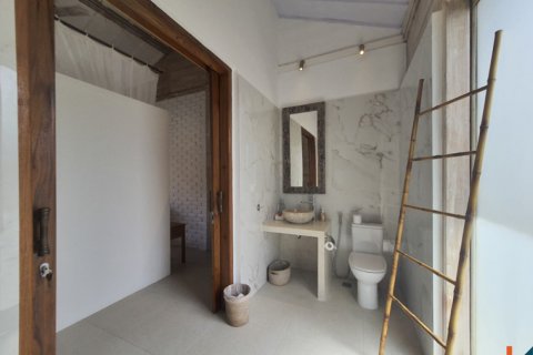 4 bedrooms Villa in Kerobokan, Badung, Indonesia No. 11451 25