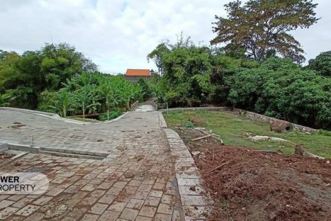 105m2 Land in Canggu, Badung, Indonesia No. 9570 4