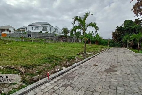 105m2 Land in Canggu, Badung, Indonesia No. 9570 2