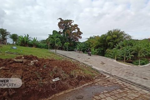 105m2 Land in Canggu, Badung, Indonesia No. 9570 5