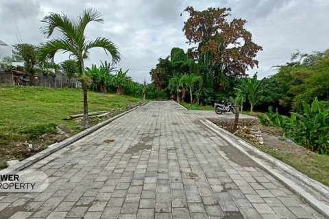 105m2 Land in Canggu, Badung, Indonesia No. 9570 6