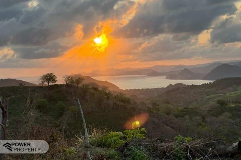 12000m2 Land in Indonesia No. 9572