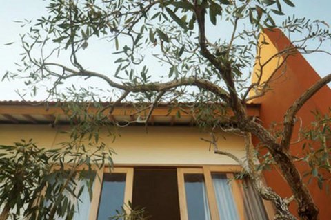 6 bedrooms Villa in Canggu, Badung, Indonesia No. 8692 6