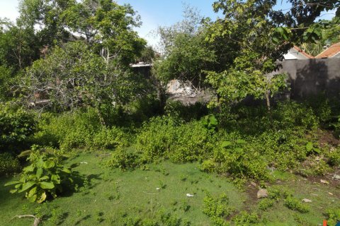 Land in Pecatu, Badung, Indonesia No. 11190 14