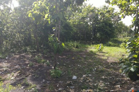 Land in Pecatu, Badung, Indonesia No. 11190 11