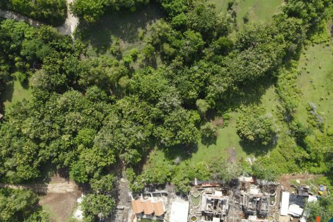 Land in Pecatu, Badung, Indonesia No. 11190 19