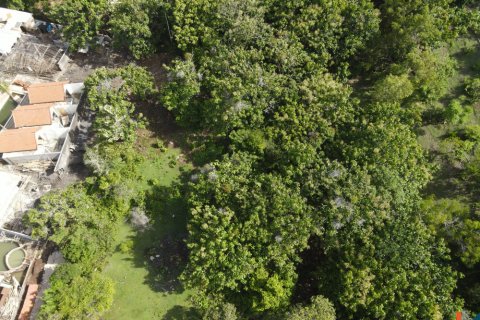 Land in Pecatu, Badung, Indonesia No. 11190 16