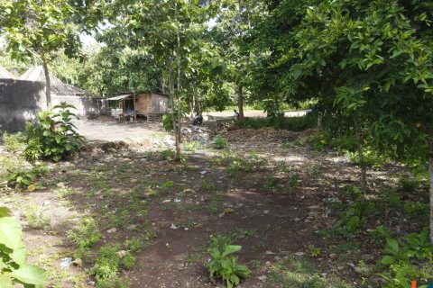 Land in Pecatu, Badung, Indonesia No. 11190 13