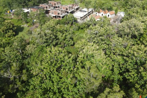 Land in Pecatu, Badung, Indonesia No. 11190 9