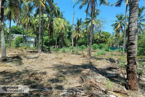 Земельный участок 827м2 в Gili Trawangan, Гили-Индах, Северный Ломбок, Индонезия № 8708 11