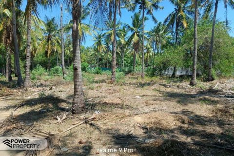 Земельный участок 827м2 в Gili Trawangan, Гили-Индах, Северный Ломбок, Индонезия № 8708 5
