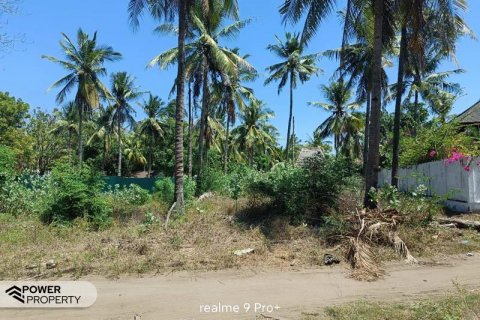 Земельный участок 827м2 в Gili Trawangan, Гили-Индах, Северный Ломбок, Индонезия № 8708 10