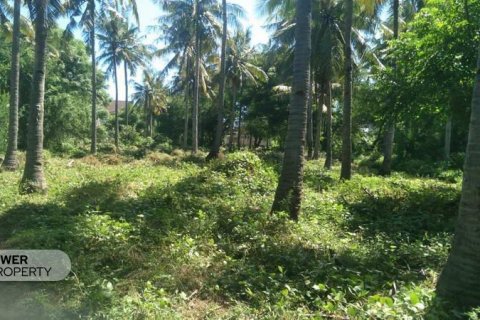 Земельный участок 827м2 в Gili Trawangan, Гили-Индах, Северный Ломбок, Индонезия № 8708 3