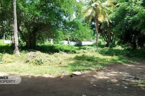 Земельный участок 827м2 в Gili Trawangan, Гили-Индах, Северный Ломбок, Индонезия № 8708 4
