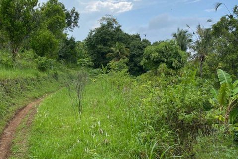 4400m2 Land in Lovina, Anturan, Buleleng, Indonesia No. 8704 5