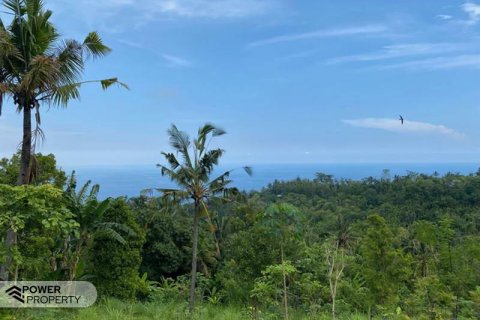 4400m2 Land in Lovina, Anturan, Buleleng, Indonesia No. 8704 4