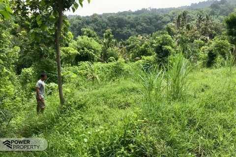 4400m2 Land in Lovina, Anturan, Buleleng, Indonesia No. 8704 9