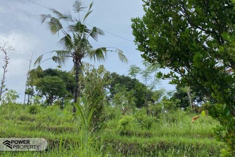 4400m2 Land in Lovina, Anturan, Buleleng, Indonesia No. 8704 2