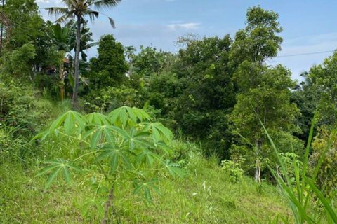 4400m2 Land in Lovina, Anturan, Buleleng, Indonesia No. 8704 3