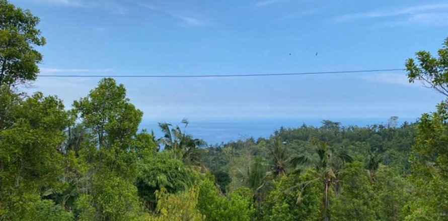 4400m2 Land in Lovina, Anturan, Buleleng, Indonesia No. 8704