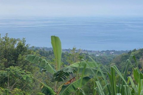 4400m2 Land in Lovina, Anturan, Buleleng, Indonesia No. 8704 8