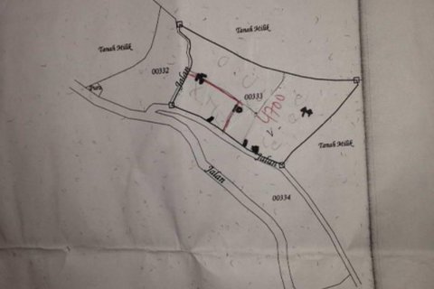 4400m2 Land in Lovina, Anturan, Buleleng, Indonesia No. 8704 13