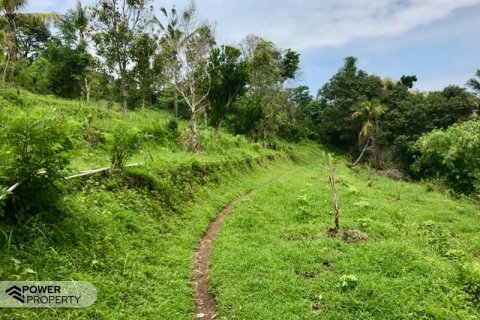 4400m2 Land in Lovina, Anturan, Buleleng, Indonesia No. 8704 11