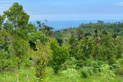 4400m2 Land in Lovina, Anturan, Buleleng, Indonesia No. 8704 12