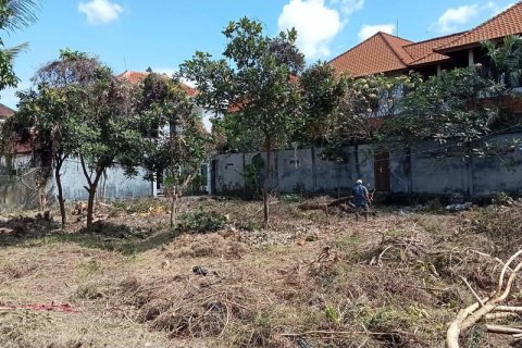 600m2 Land in Canggu, Badung, Indonesia No. 8707