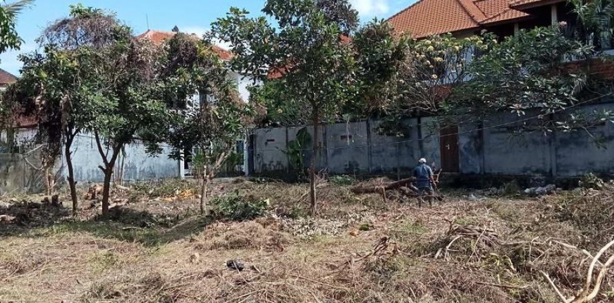 600m2 Land in Canggu, Badung, Indonesia No. 8707