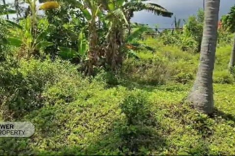 Земельный участок 700м2 в Karangasem, Карангасем, Индонезия № 8703 4