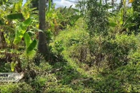 Земельный участок 700м2 в Karangasem, Карангасем, Индонезия № 8703 5