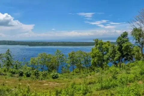 Land in Nusa Penida, Klungkung, Indonesia No. 10515 9