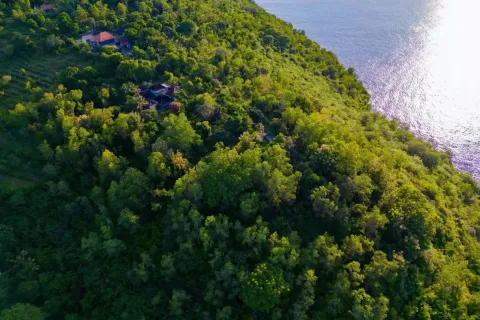 Land in Nusa Penida, Klungkung, Indonesia No. 10515 8