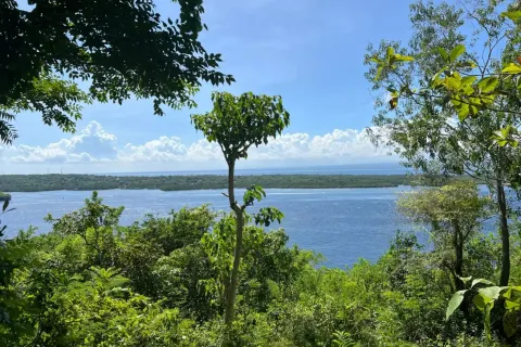 Land in Nusa Penida, Klungkung, Indonesia No. 10515 10