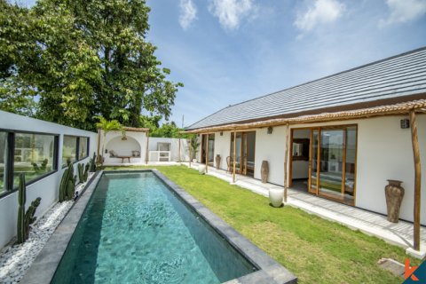 4 bedrooms Villa in Canggu, Badung, Indonesia No. 10663 6