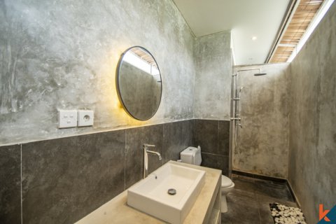 4 bedrooms Villa in Canggu, Badung, Indonesia No. 10663 20