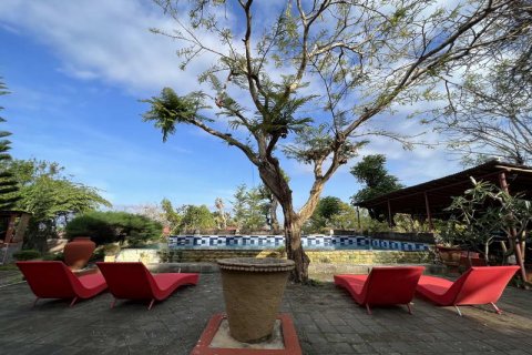 Вилла с 10 спальнями в Nusa Dua, Бадунг, Индонезия № 242 14