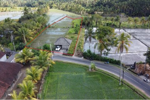 Land in Tabanan, Indonesia No. 11581 2