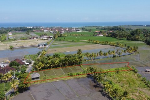 Land in Tabanan, Indonesia No. 11581 3