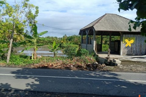 Land in Tabanan, Indonesia No. 11581 6