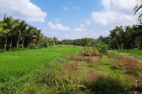 Land in Tabanan, Indonesia No. 11581 4