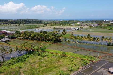 Land in Tabanan, Indonesia No. 11581