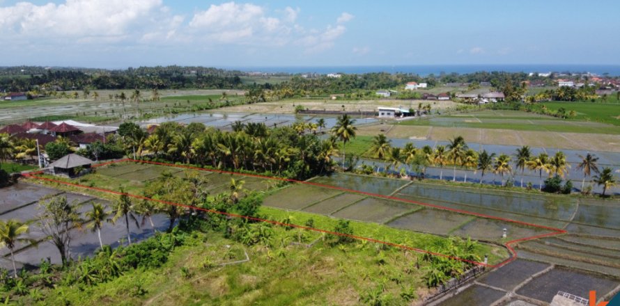 Land in Tabanan, Indonesia No. 11581